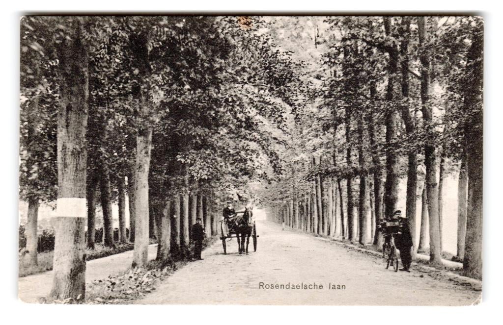 Velp, Rosendaelsche laan, Verzamelen, Ansichtkaarten | Nederland, Ongelopen, Gelderland, Voor 1920, Verzenden