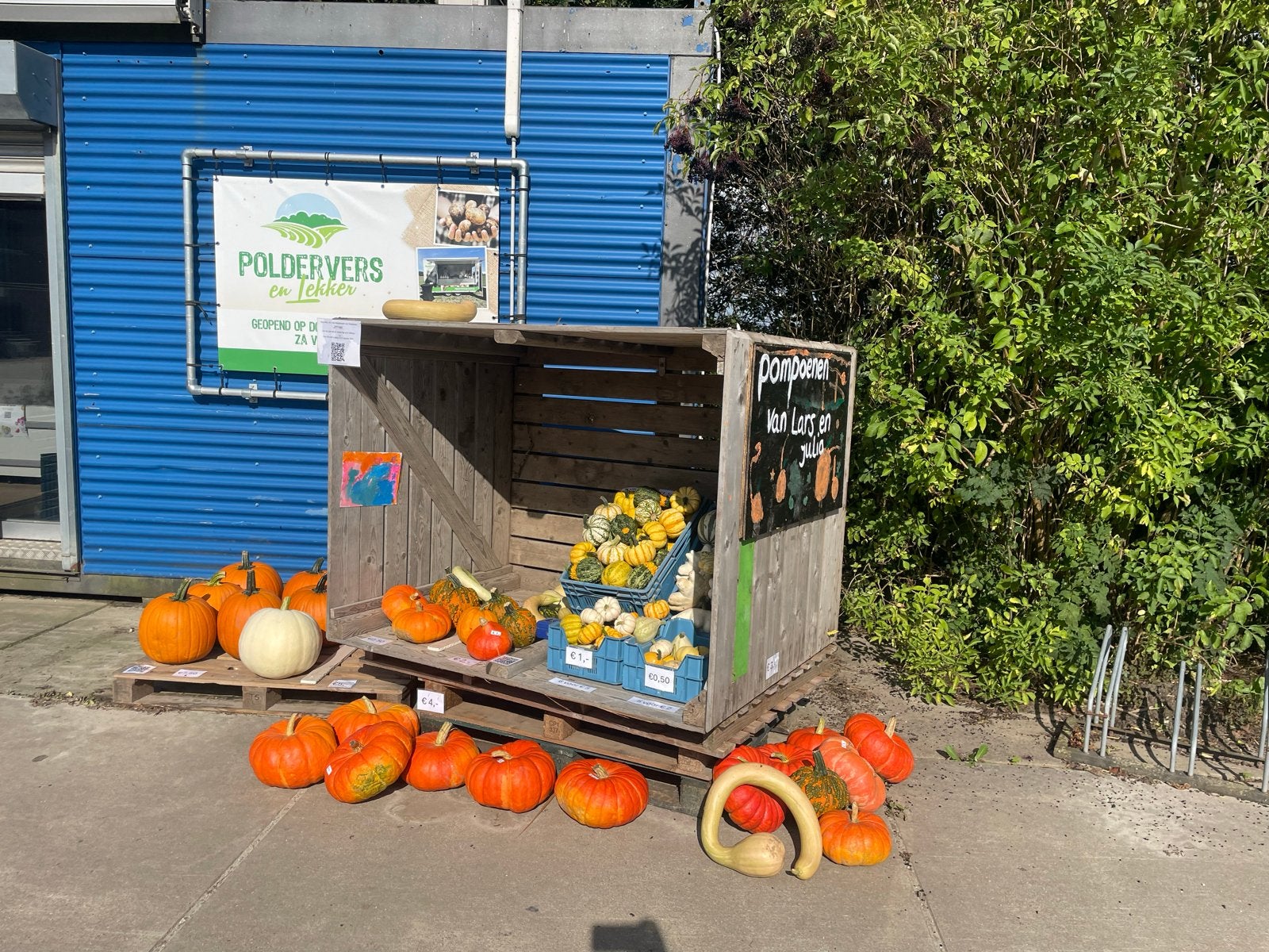 Diverse pompoenen en kalebassen voor decoratie, Tuin en Terras, Overige Tuin en Terras, Ophalen, Nieuw