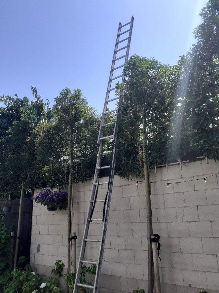 Altrex dubbele ladder 2 x 12 treden  uitschuifbaar  6 meter!, Ophalen, Gebruikt, Ladder, Opvouwbaar of Inschuifbaar