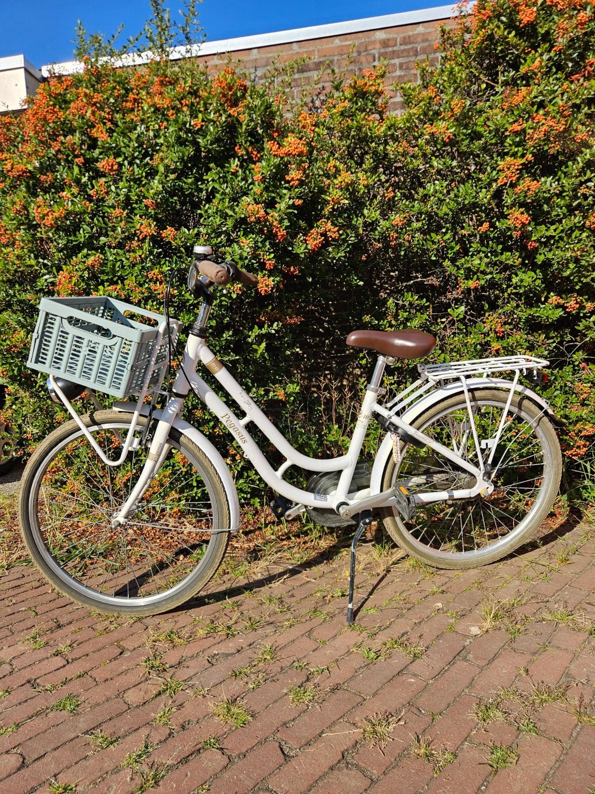 Meisjes fiets wit Pegasus., Fietsen en Brommers, Fietsen | Dames | Moederfietsen, Terugtraprem, Gebruikt, Mandje, Minder dan 47 cm