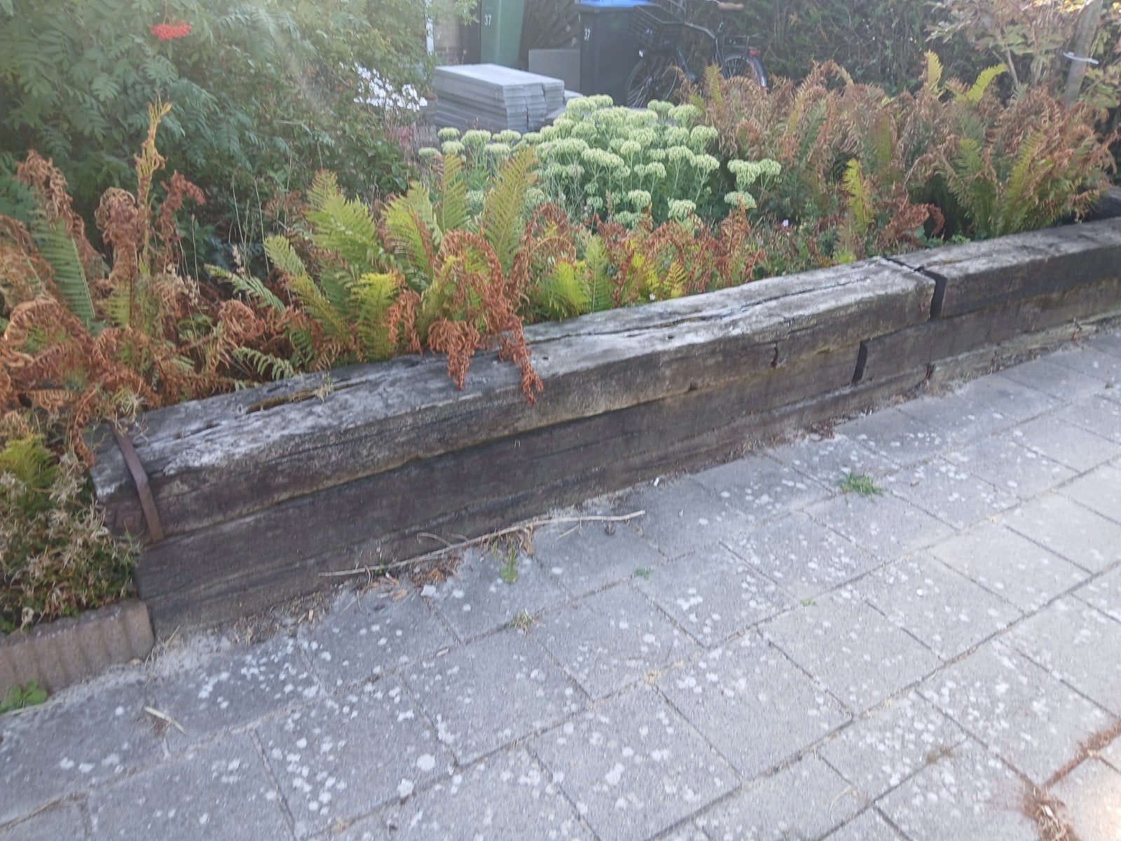 Gebruikte spoorbielzen voor tuin of decoratie, Ophalen of Verzenden, Gebruikt, 250 cm of meer, Balken