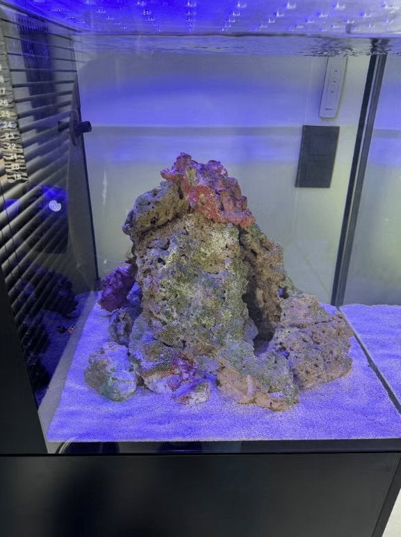 Red Sea Max Nano G2 XL 120L (1 jaar oud), Dieren en Toebehoren, Ophalen, Red Sea, Gevuld zeewateraquarium, Inclusief vissen