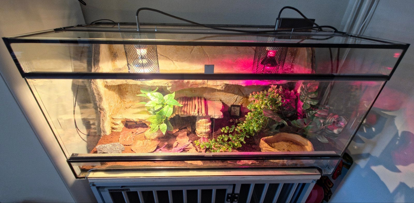 Allterra 100x50x50 luxe 3D achterwand, Dieren en Toebehoren, Ophalen, Zo goed als nieuw, Terrarium of Paludarium