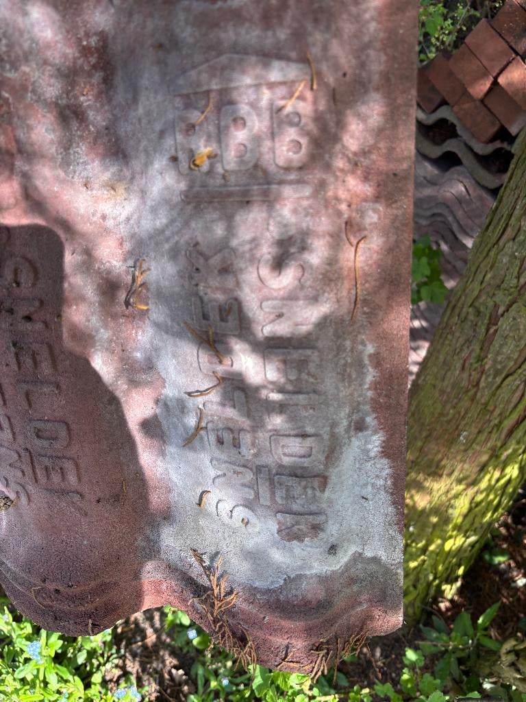 T.E.A.B.: dakpannen beton RBB sneldek, Doe-het-zelf en Verbouw, Ophalen, Overige materialen, Gebruikt, Overige kleuren