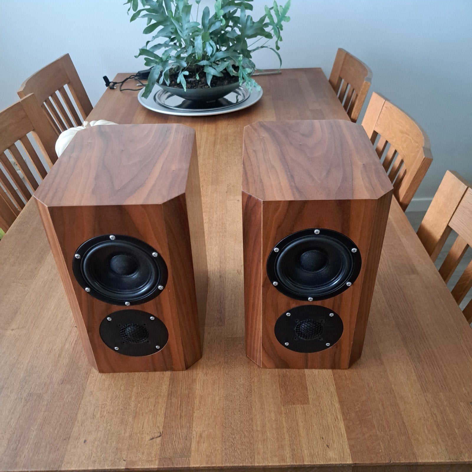 Tony Gee Paper Hatt luidsprekers, Audio, Tv en Foto, Luidsprekers, Ophalen of Verzenden, 120 watt of meer, Front, Rear of Stereo speakers