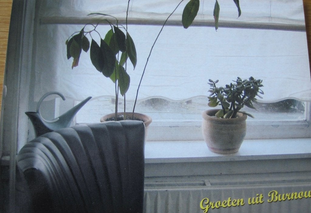 Boomerang - groeten uit burnout - nieuw, Verzenden, 1980 tot heden, Ongelopen, Overige thema's