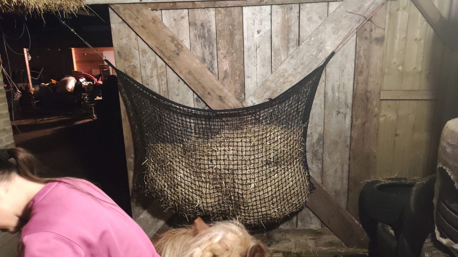 Stalling gezocht voor 2 shetlander ruinen, Dieren en Toebehoren, Stalling en Weidegang, Stalling