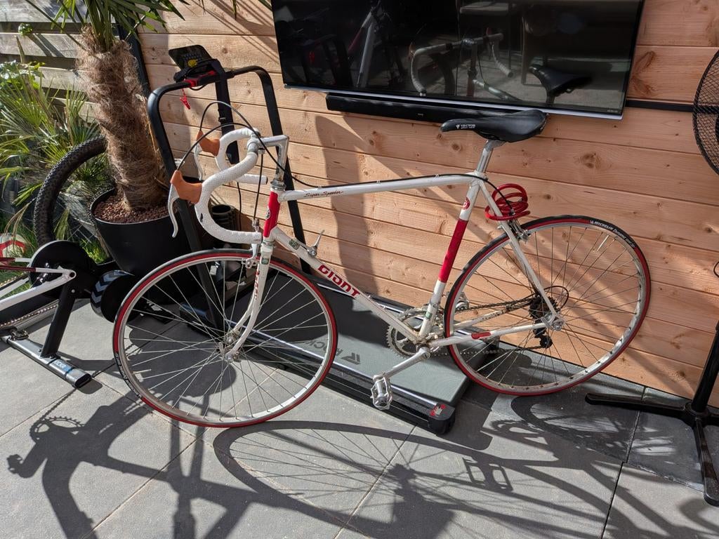 Vintage Giant racefiets, 55 tot 59 cm, Ophalen of Verzenden, Velgrem, Giant