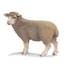 Schleich 13283 schaap, dierfiguur, Verzamelen, Dierenverzamelingen, Ophalen of Verzenden, Gebruikt, Boerderijdier, Beeldje of Figuurtje