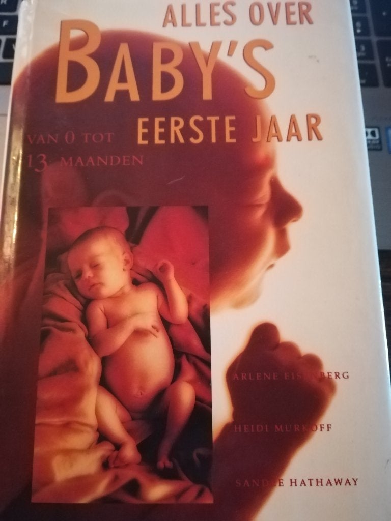 ALLES OVER BABY'S EERSTE JAAR - eisenberg e.a., Ophalen of Verzenden, Zo goed als nieuw, 0 tot 6 maanden