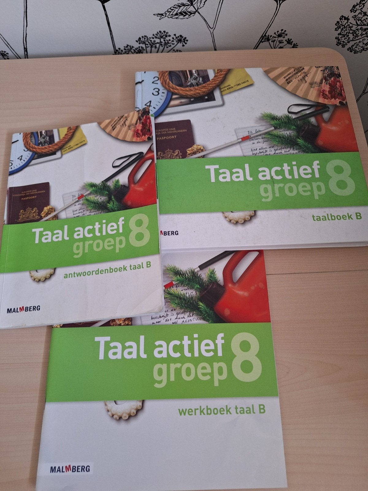 taal actief B gr 8, Ophalen of Verzenden, Gelezen, Overige niveaus, Nederlands