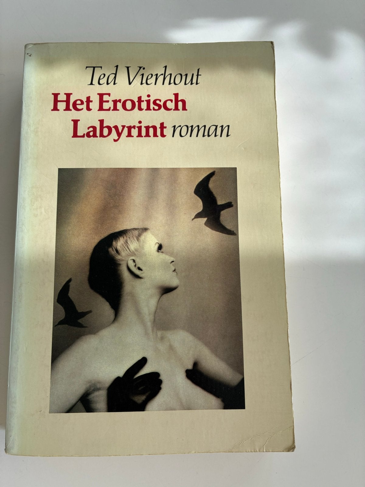 Het Erotisch Labyrint - Ted Vierhout (Roman), Ophalen of Verzenden, Gelezen, Nederland