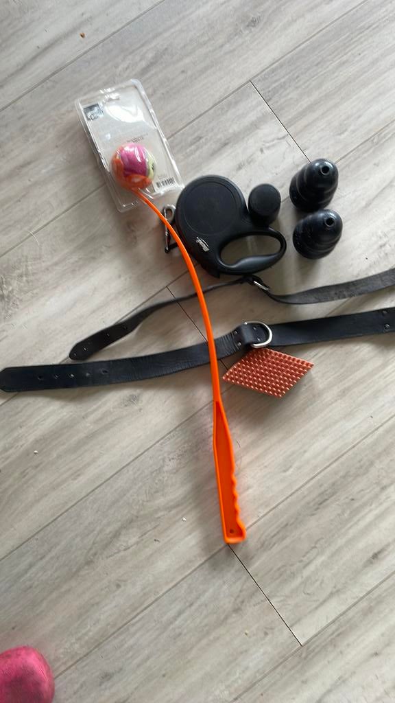 Hondenriem, flexibele looplijn, speelgoed, Ophalen of Verzenden, Gebruikt