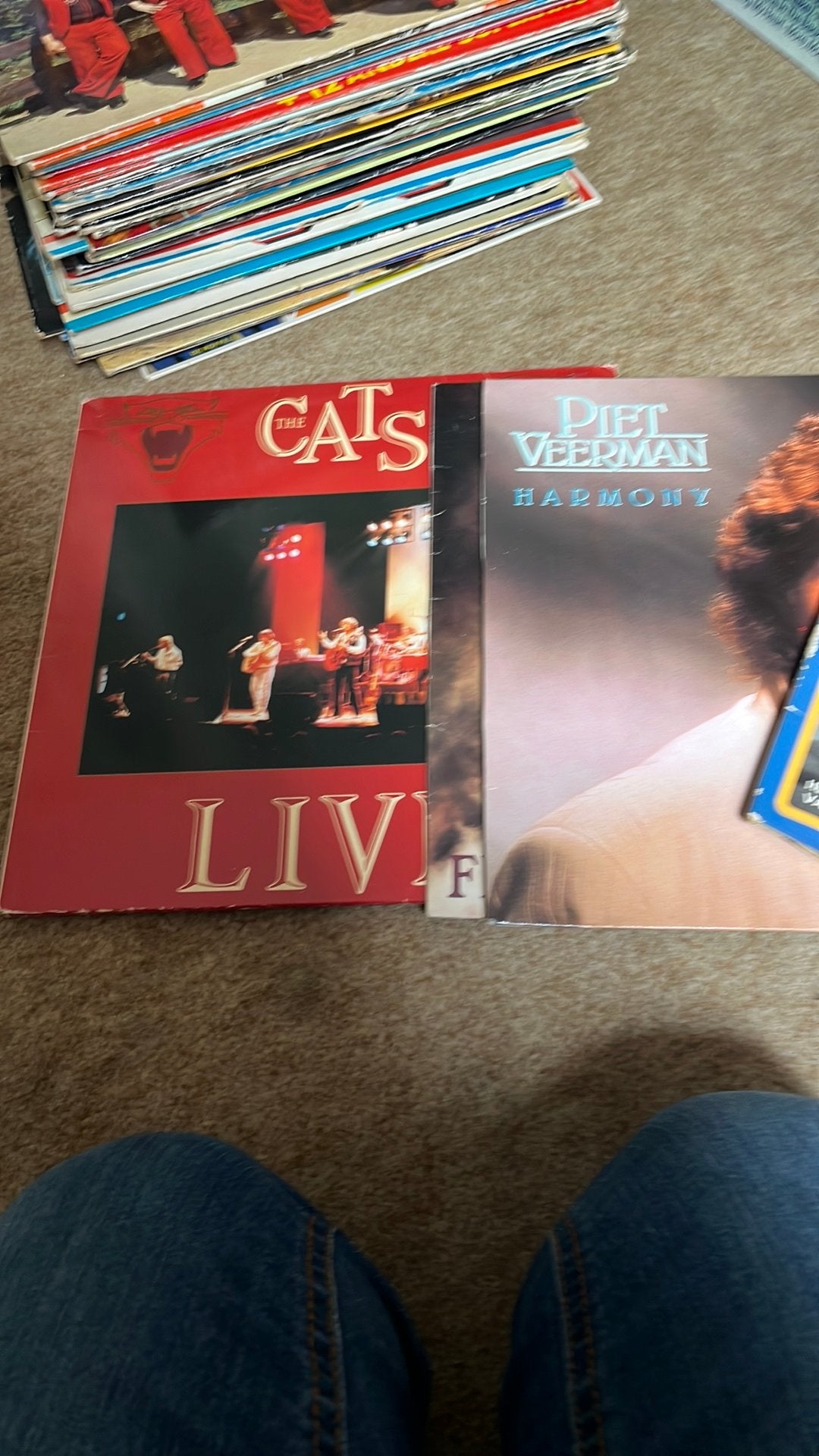 5 lp the cats /piet veerman, Ophalen, Zo goed als nieuw