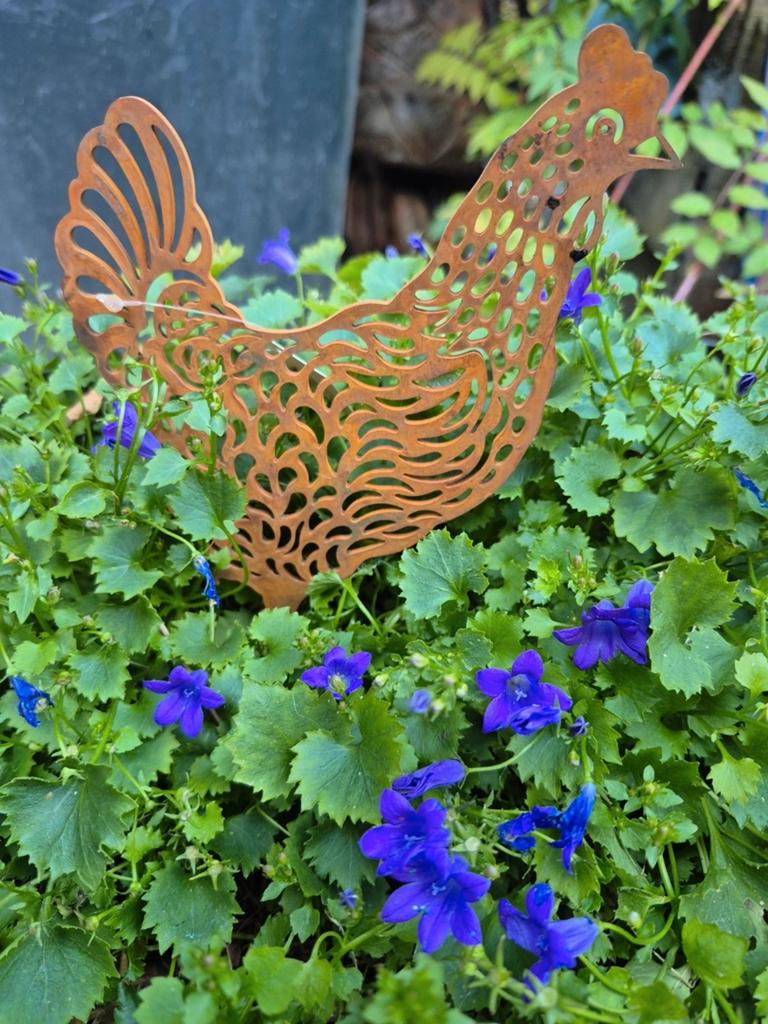 Set van kip & haan, Tuin en Terras, Tuinstekers, Ophalen of Verzenden, Nieuw