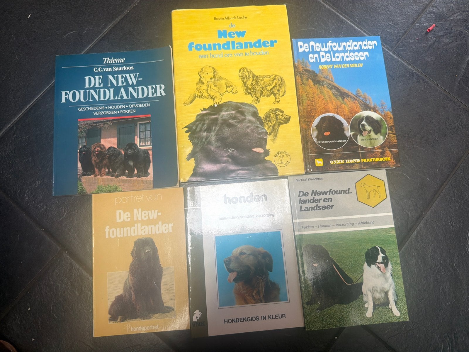 6 Newfoundlander boeken - Alles over dit prachtige hondenras, Ophalen of Verzenden, Gelezen, Honden