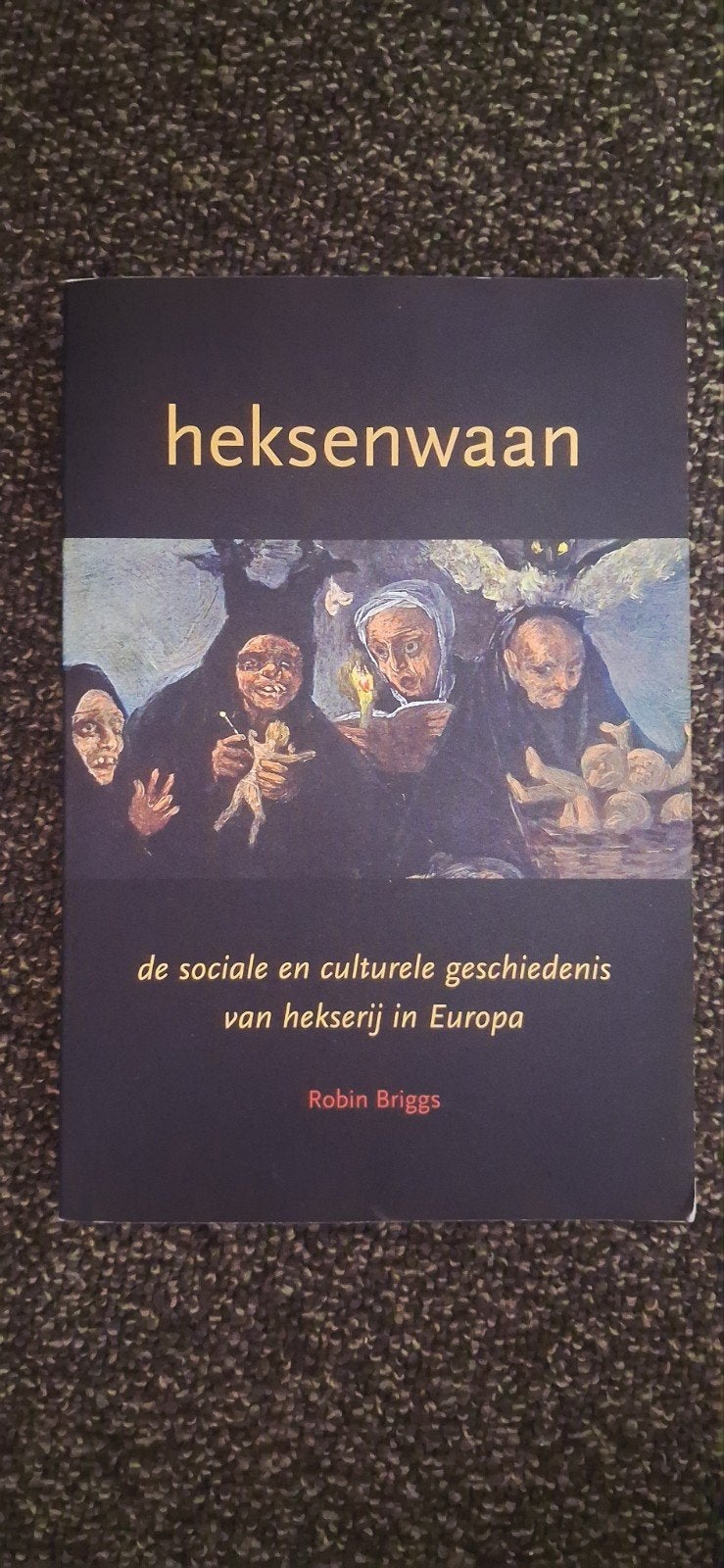 R. Briggs - Heksenwaan, Boeken, Ophalen of Verzenden, Gelezen, R. Briggs