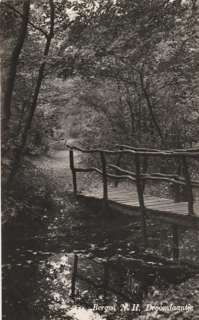 bergen- droomlaantje, Ophalen of Verzenden, Voor 1920, Noord-Holland