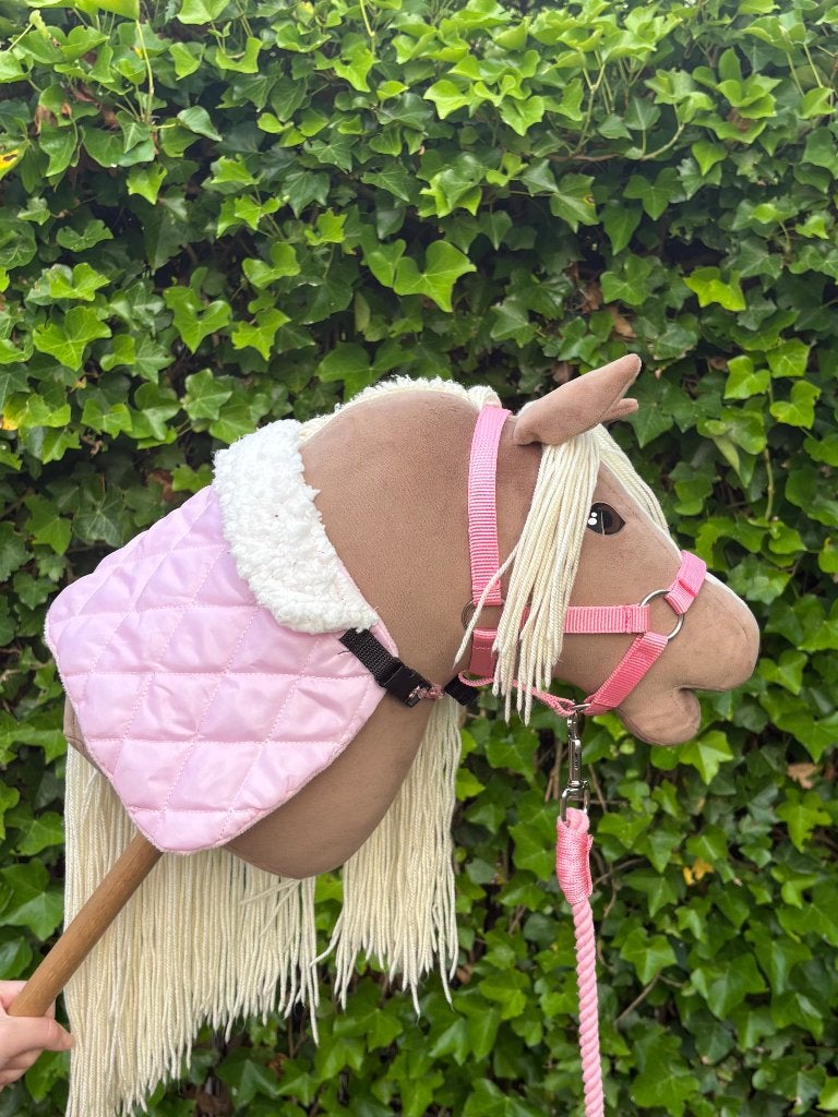 Hobby horse met hindernis en veel extra, Ophalen, Zo goed als nieuw