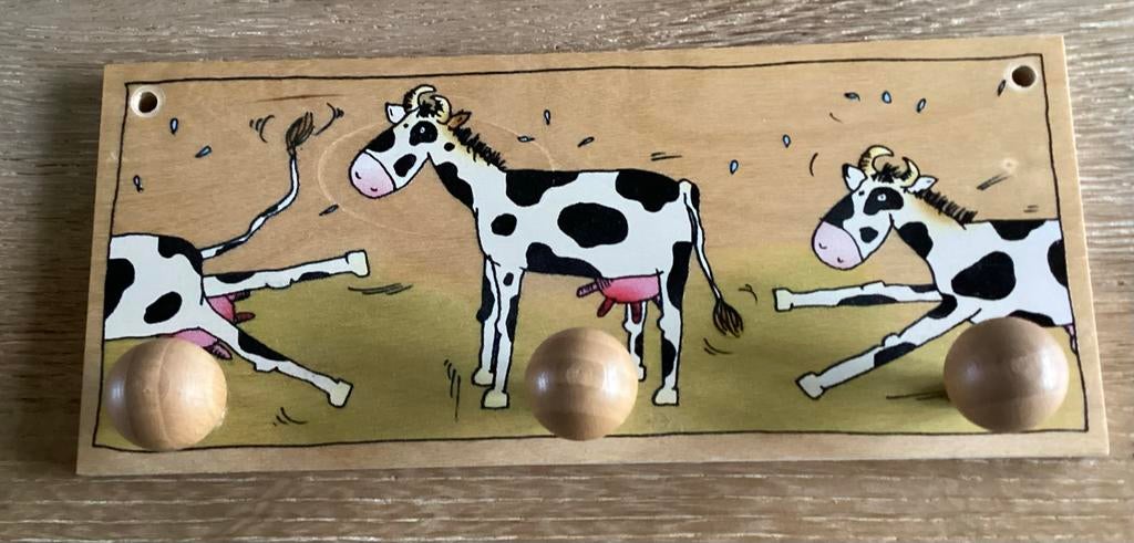 Kapstokje JanBibejan, Ophalen of Verzenden, Zo goed als nieuw, Wanddecoratie