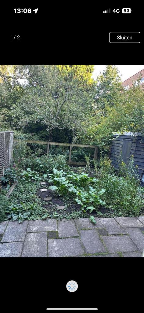 Tuin, Ophalen of Verzenden, Zomer, Volle zon, Overige soorten