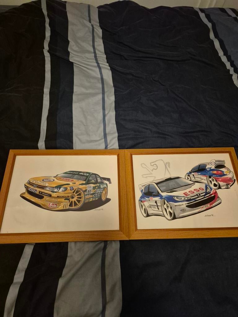 Peugeot 406 btcc en 206 wrc, Ophalen of Verzenden, Zo goed als nieuw, Auto's
