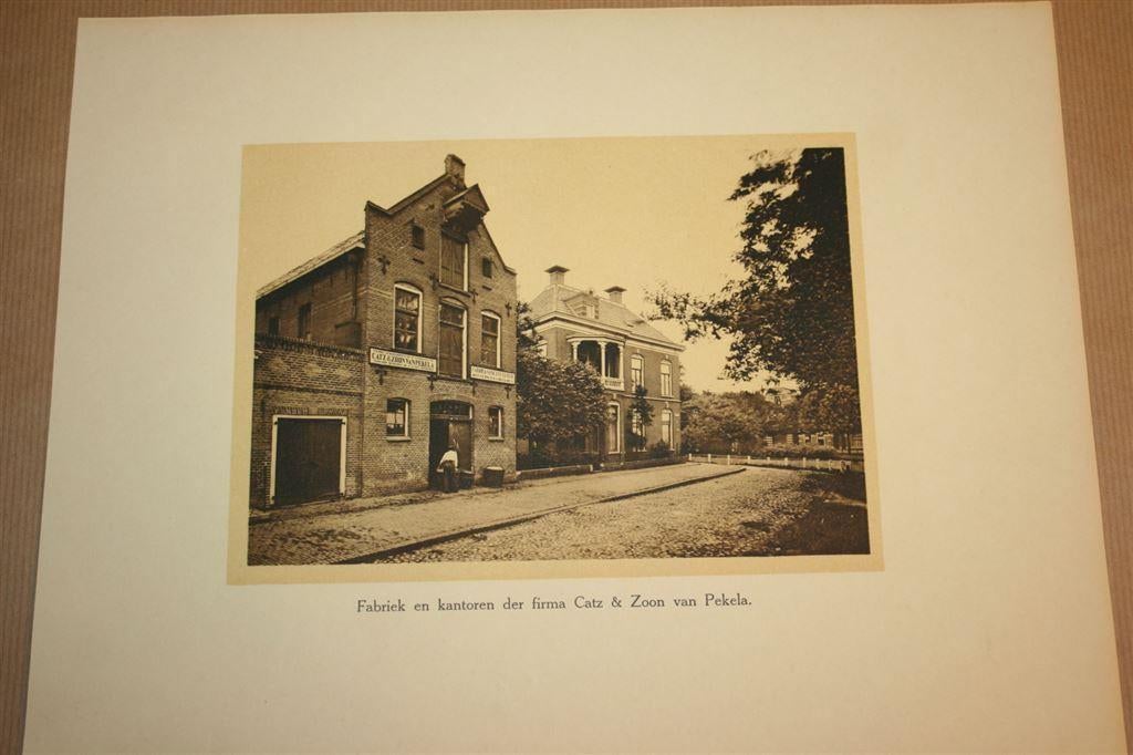 Antieke prent/foto Firma Catz & Zoon Oude Pekela 1913 !!, Ophalen of Verzenden, Voor 1940, Gebruikt, Overige onderwerpen