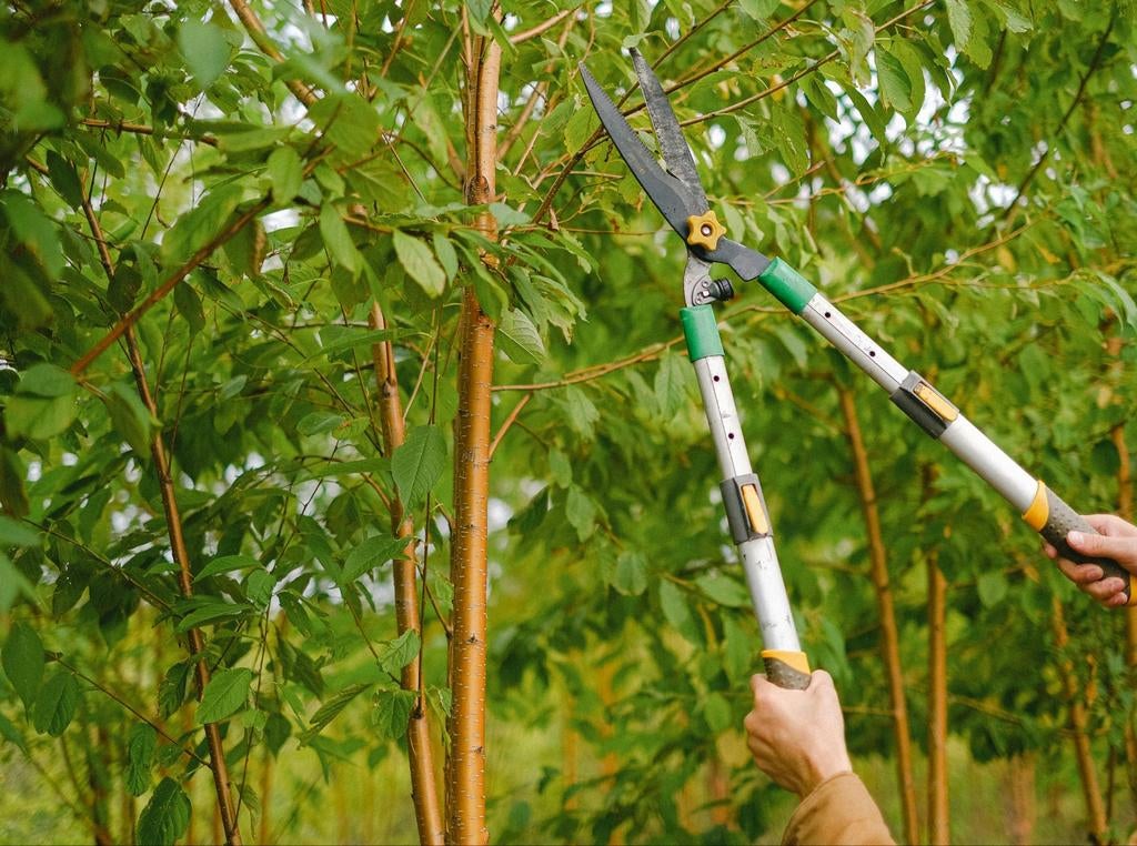 Tuinklaar Service – Tuin opruimen, snoeien & schoonmaken, Tuin en Terras, Overige Tuin en Terras, Ophalen of Verzenden
