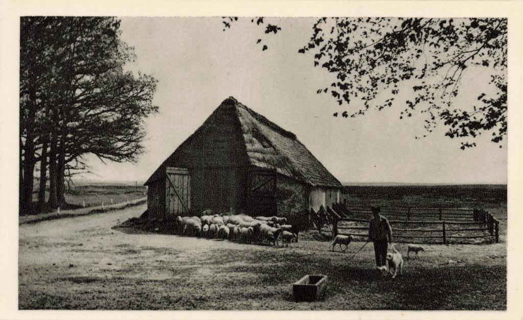Ede Schaapskooi op de Ginkel M7950, Ophalen, 1940 tot 1960, Ongelopen, Gelderland
