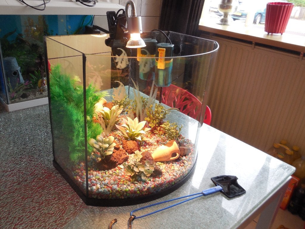 leuk aquarium met ronde voorraam, Ophalen, Inclusief toebehoren, Gebruikt, Leeg aquarium