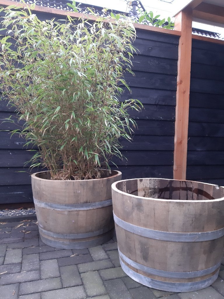 Eikenhouten Wijnvat Bloembak Minivijver 112 Liter, Tuin en Terras, Ophalen, Rond, Nieuw, Balkon