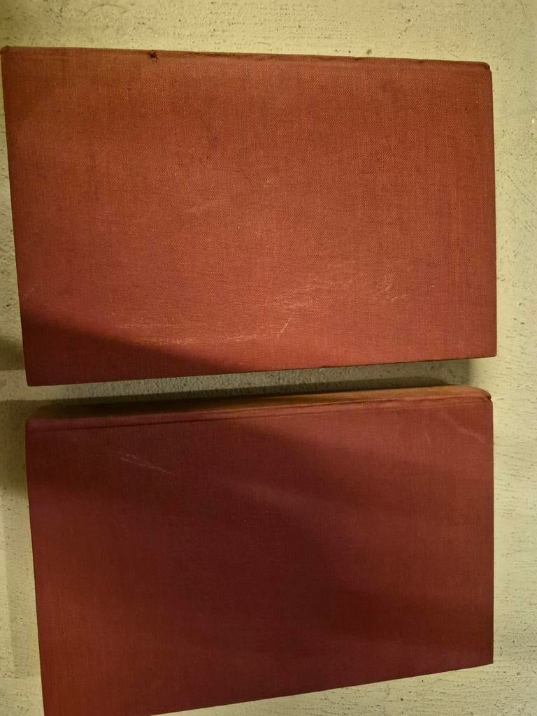Dr Presser, 2 delen 1965 boeken. ONDERGANG, Ophalen of Verzenden