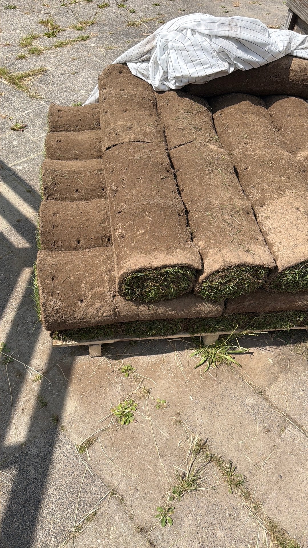 Graszoden in sneek, Ophalen, Zo goed als nieuw, Minder dan 10 m²