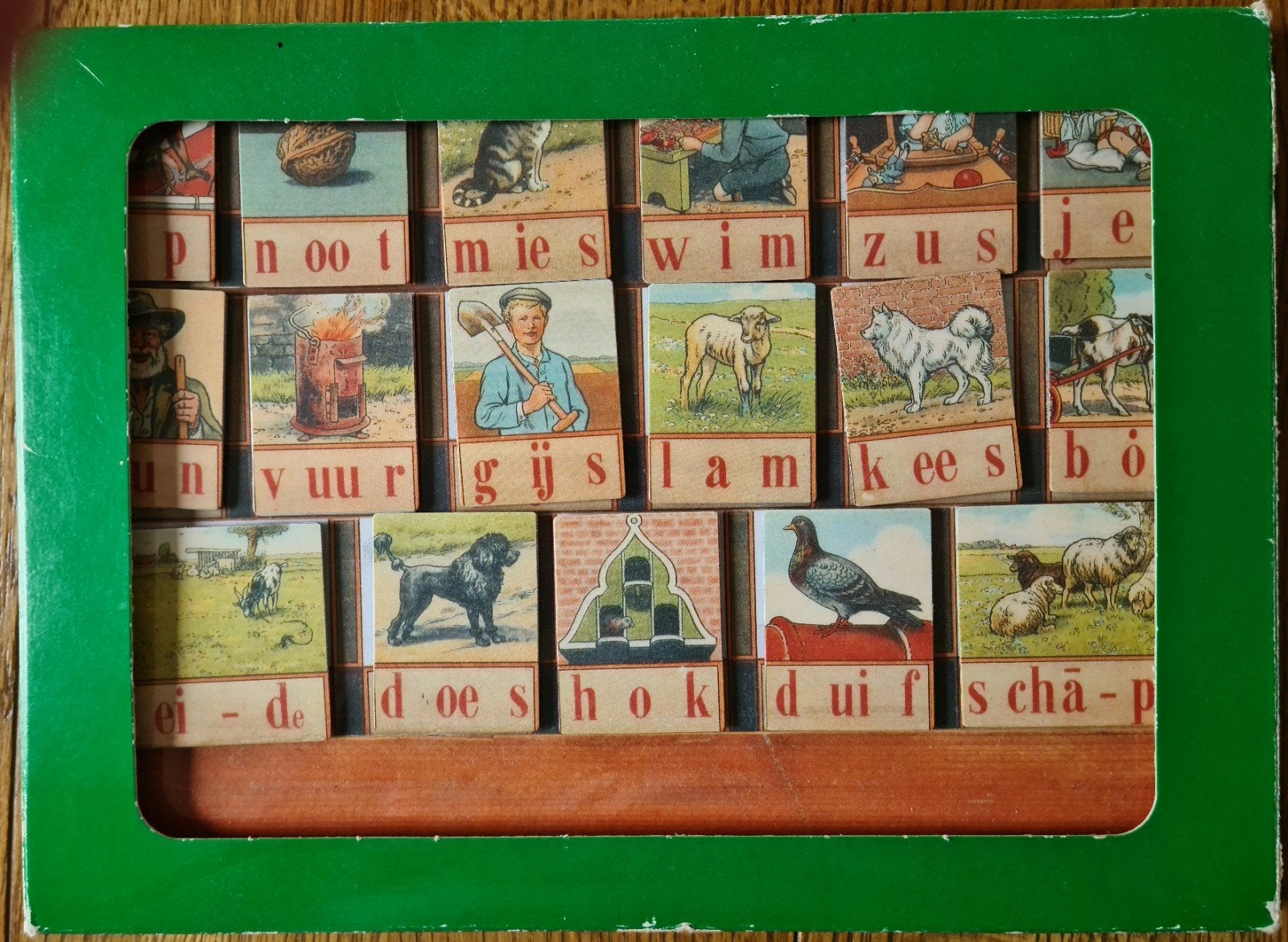 Magnetisch leesplankje aap, noot  mies, Ophalen