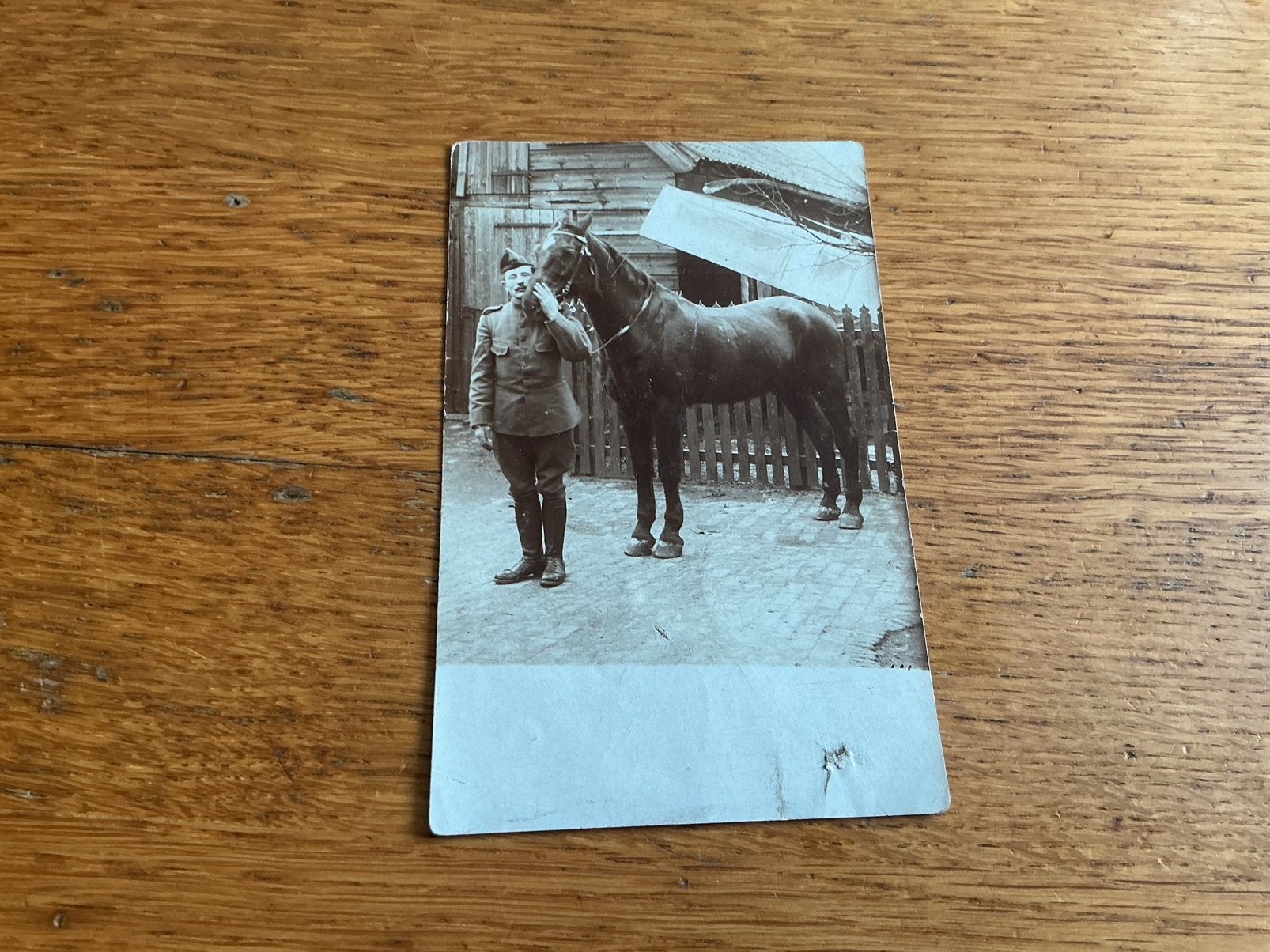 M156 militair paard fotokaart, Ophalen of Verzenden, Voor 1920, Sterren en Beroemdheden