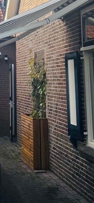 Houten Plantenbak met Klimrek - Ideaal voor Tuin of Balkon, Ophalen, Gebruikt, Balkon, 60 tot 100 cm