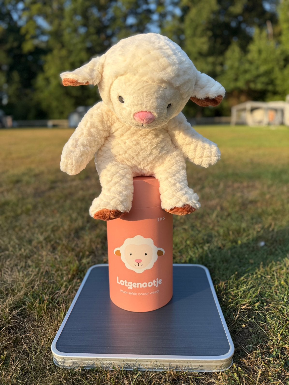 Lotgenootje Schaap 2KG, Ophalen, Nieuw, Overige typen