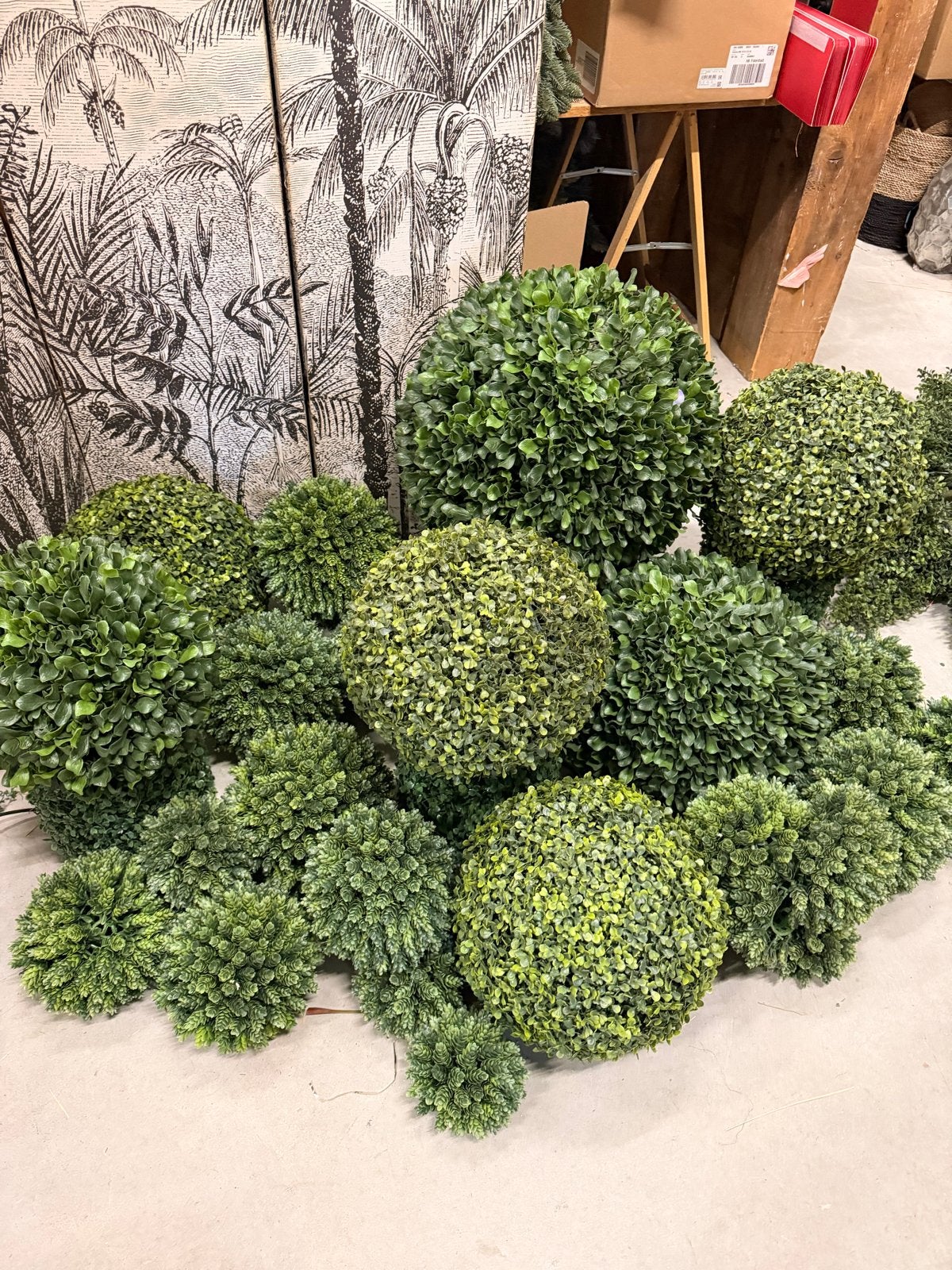 Buxus bollen - Grote partij van ca. 30 stuks, Tuin en Terras, Ophalen