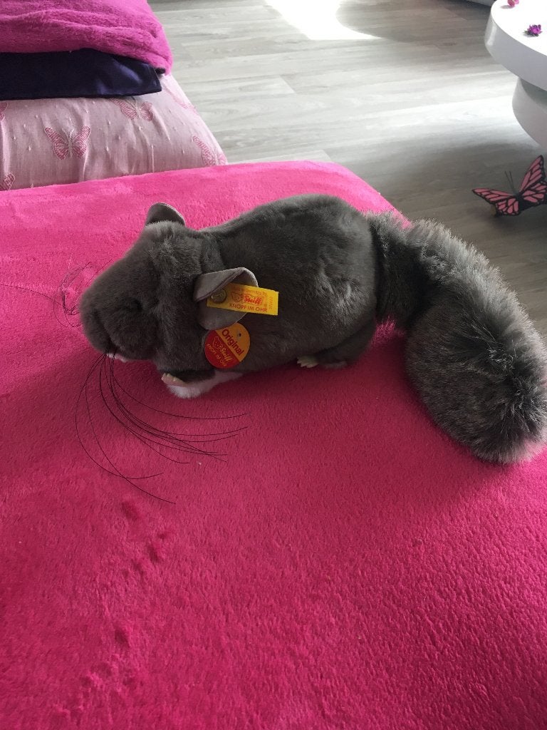 Steiff chinchilla, Ophalen of Verzenden, Nieuw, Overige typen, Overige merken