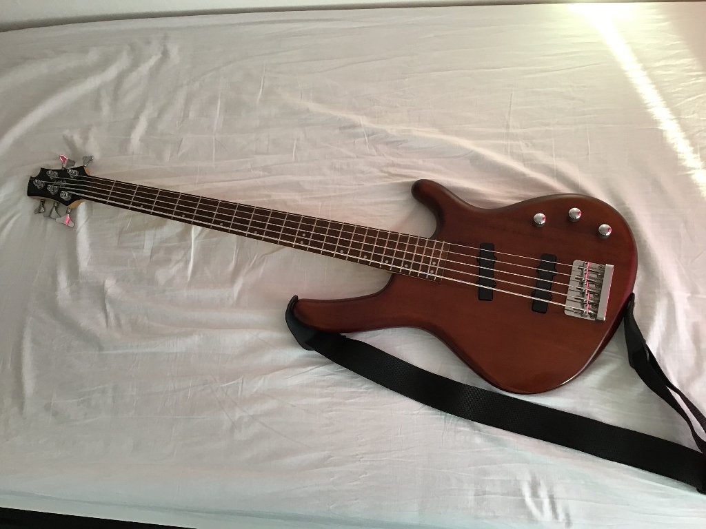 5-snarige basgitaar met extra’s, Muziek en Instrumenten, Ophalen, Zo goed als nieuw, Elektrisch, 5-snarig