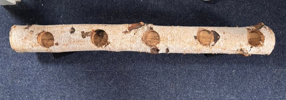Waxinelicht houder/ boomstam, Huis en Inrichting, Ophalen, Bruin, Overige materialen, Waxinelichthouder