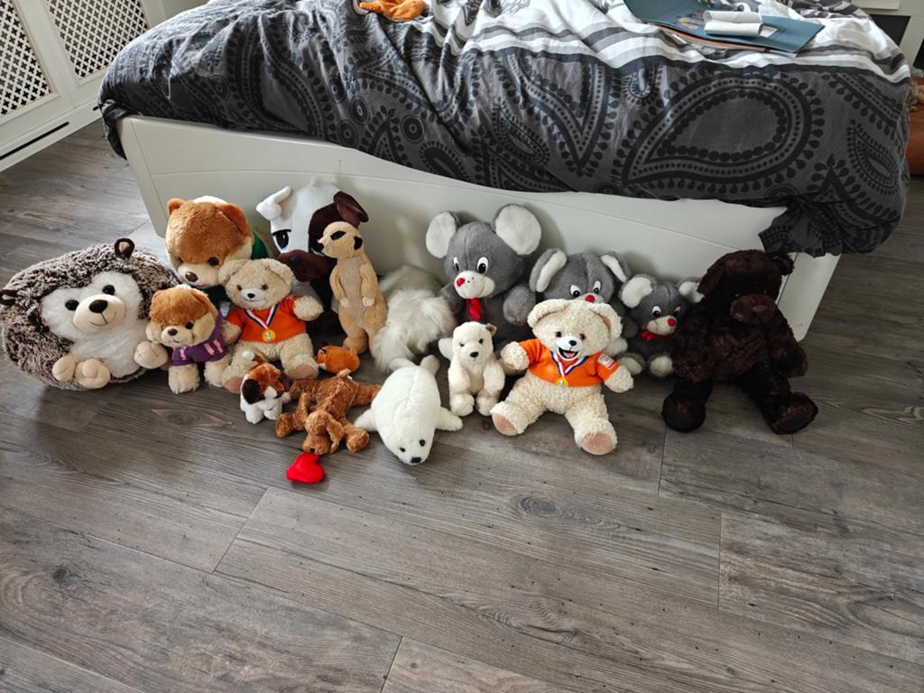 Grote collectie knuffels: egel, beren en meer!, Kinderen en Baby's, Speelgoed | Knuffels en Pluche, Ophalen, Muis, Gebruikt, Middelgroot (20 tot 80 cm)