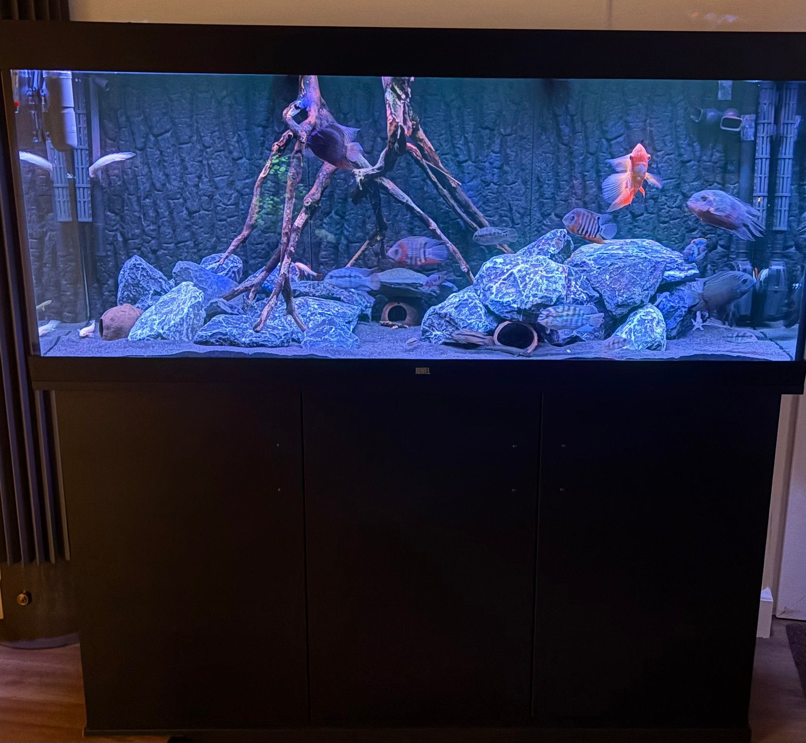 Juwel rio 450., Dieren en Toebehoren, Ophalen, Gebruikt, Gevuld zoetwateraquarium, Inclusief controller