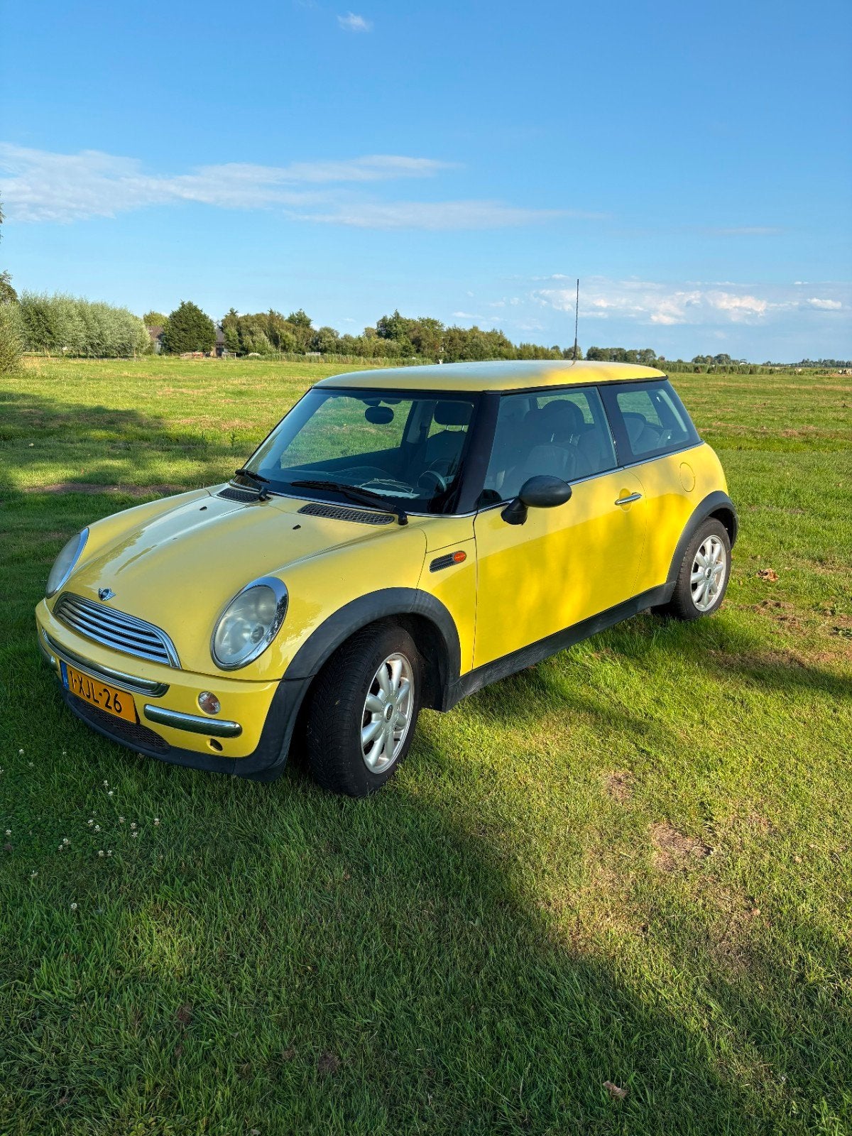 Mini 1.6 16V ONE 2003 Geel, Voorwielaandrijving, 4 cilinders, 4 stoelen, Geel