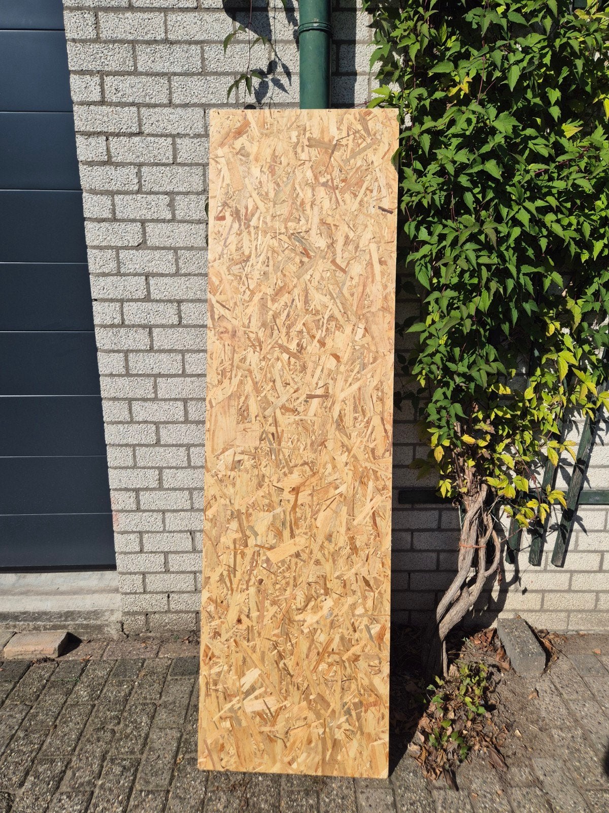 OSB-plaat 202x58cm - Zo goed als nieuw 15mm dikte, Ophalen, Minder dan 25 mm, Zo goed als nieuw, 200 tot 250 cm