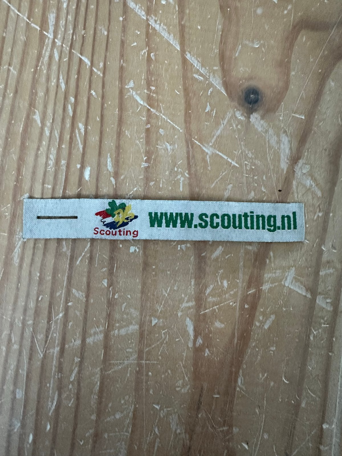 Scouting Nederland label, Verzamelen, Ophalen of Verzenden, Nieuw, Embleem, Speld of Insigne