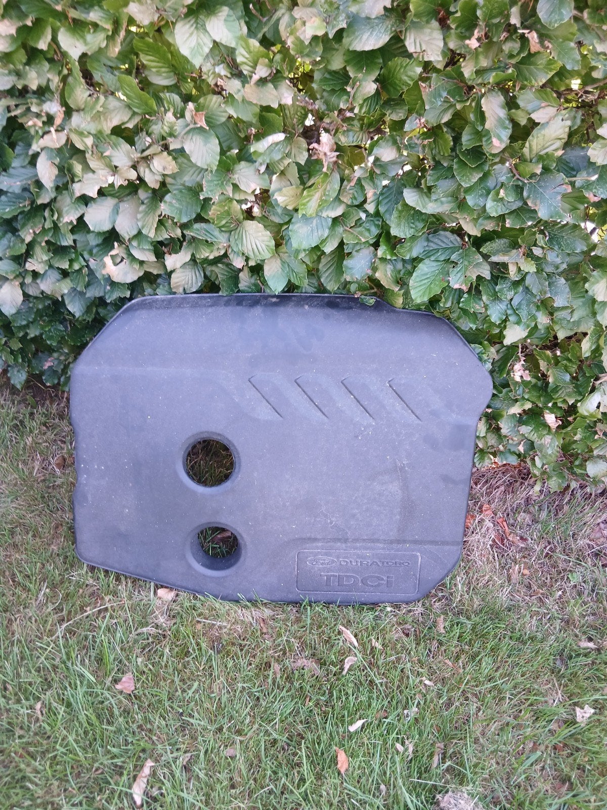 Ford focus motor afdekplaat  diesel, Ophalen, Gebruikt, Ford