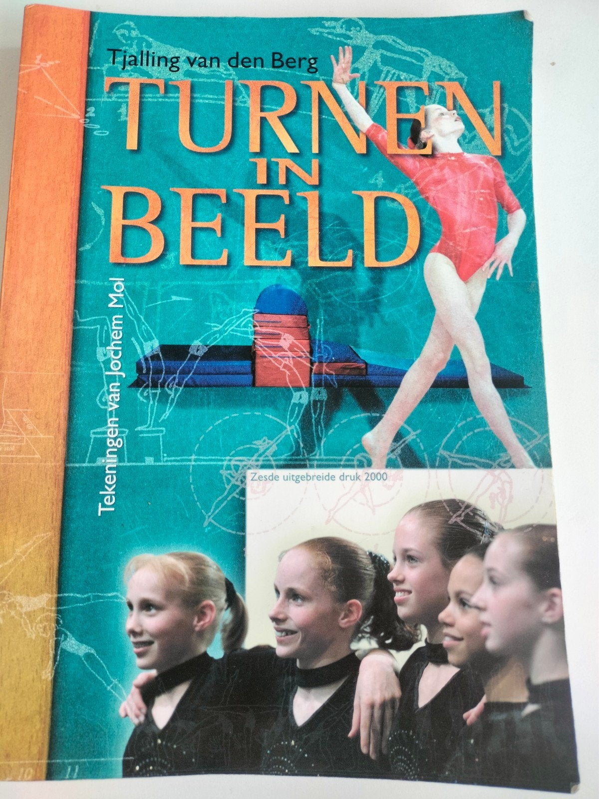 Tjalling van den Berg - Turnen in beeld, Boeken, Ophalen of Verzenden, Zo goed als nieuw, Tjalling van den Berg, Balsport
