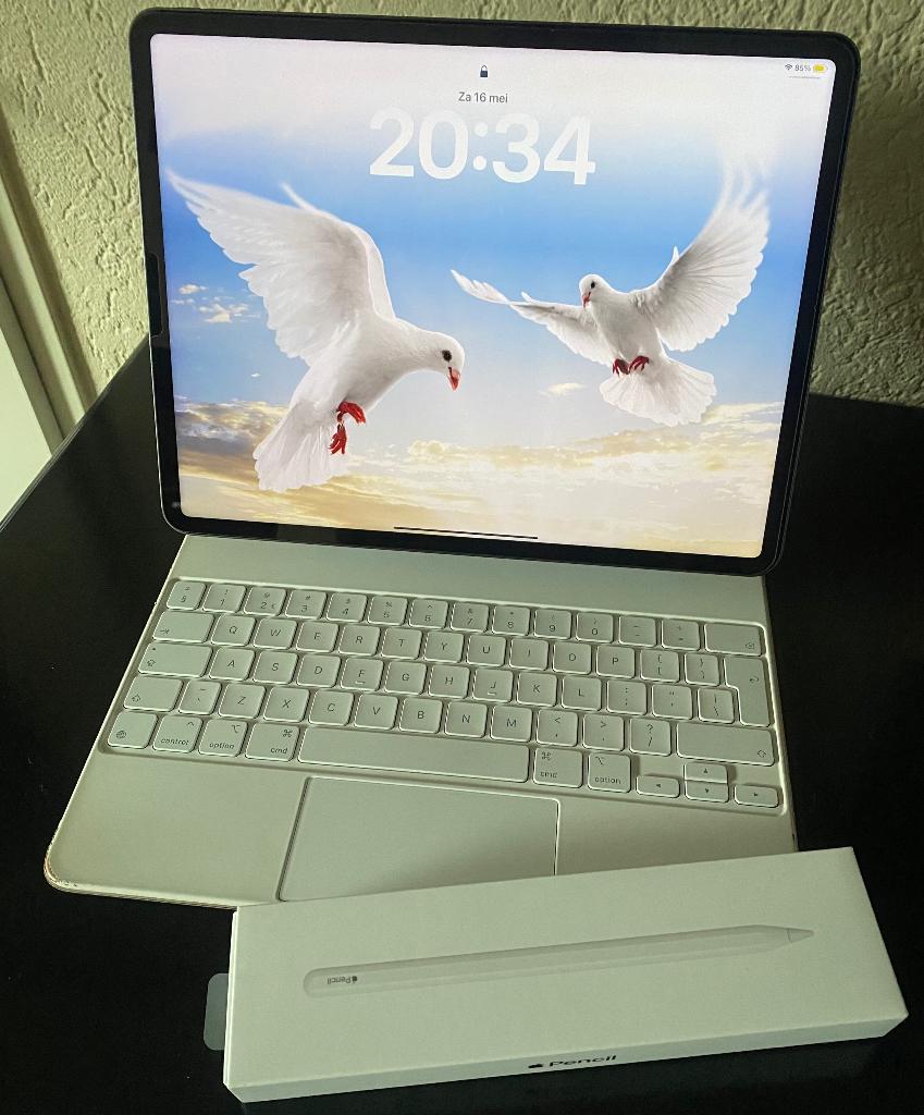 Ipad pro 12,9 5de gen (2021), Gebruikt, Apple iPad, 12 inch, Ophalen of Verzenden