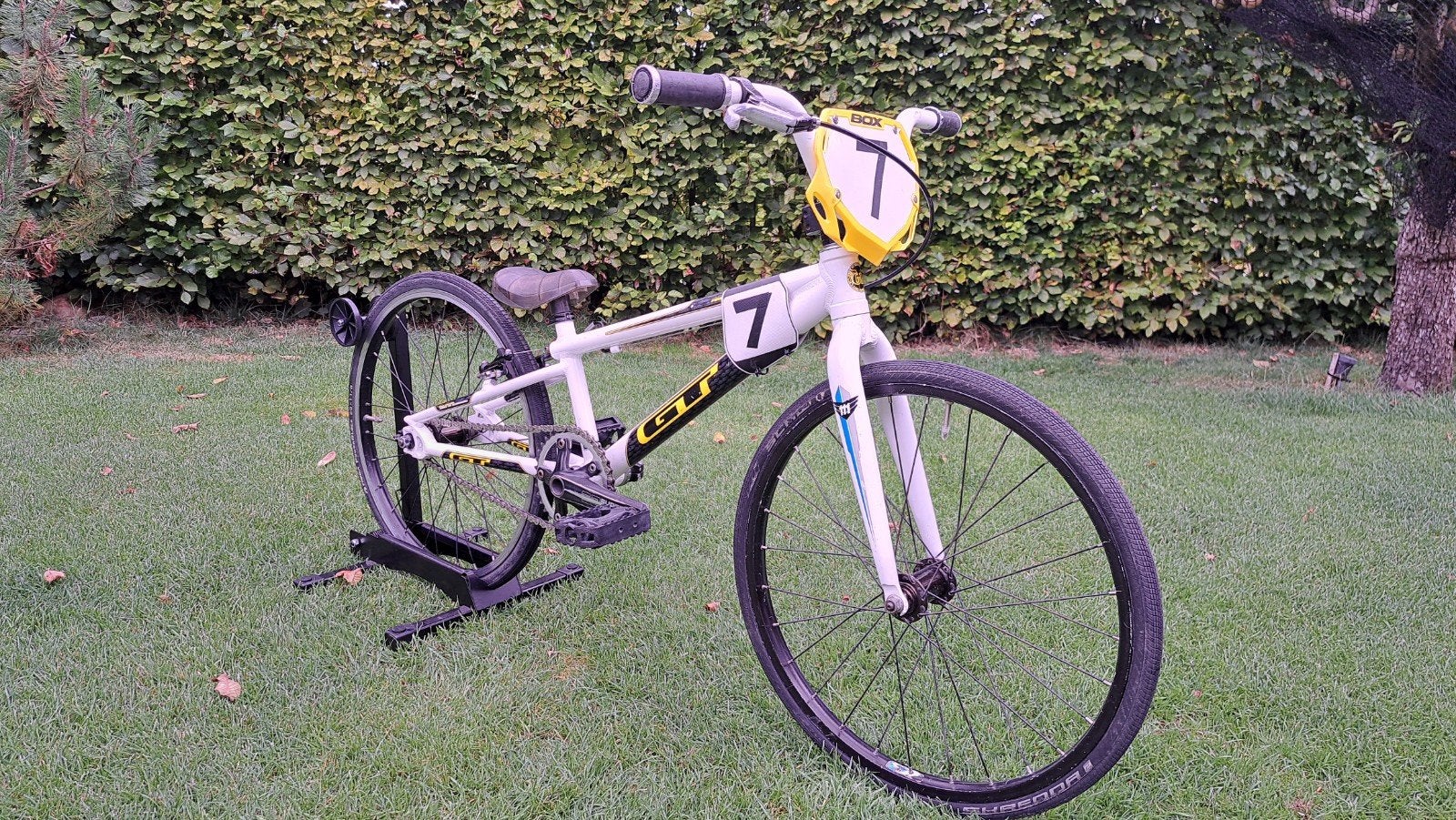 BMX GT mini 20 inch, Fietsen en Brommers, Fietsen | Crossfietsen en BMX, Ophalen, Gebruikt, Staal, Velgrem